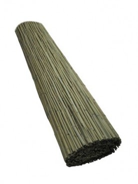 במבוק מושחל 14-16