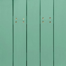 NS-1630 celery green