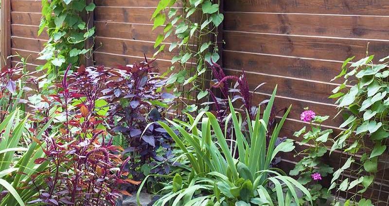 איזה עץ פחות מתעוות משינויי מזג אוויר? איזה עץ פחות מתעוות משינויי מזג אוויר 1 1 e1767031744201 - איזה עץ פחות מתעוות משינויי מזג אוויר?