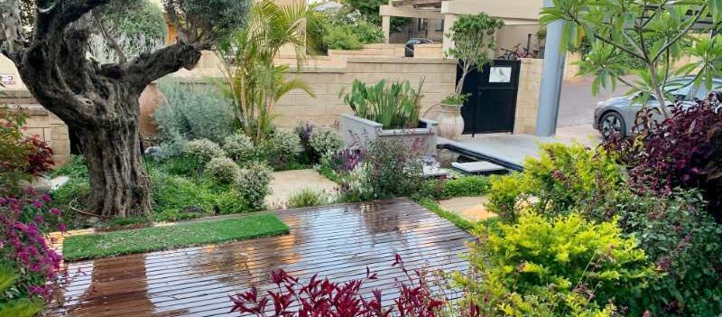 איך יודעים אם עץ מתאים לשימוש חוץ או רק לפנים? 03 1 e1767031175122 - איך יודעים אם עץ מתאים לשימוש חוץ או רק לפנים?