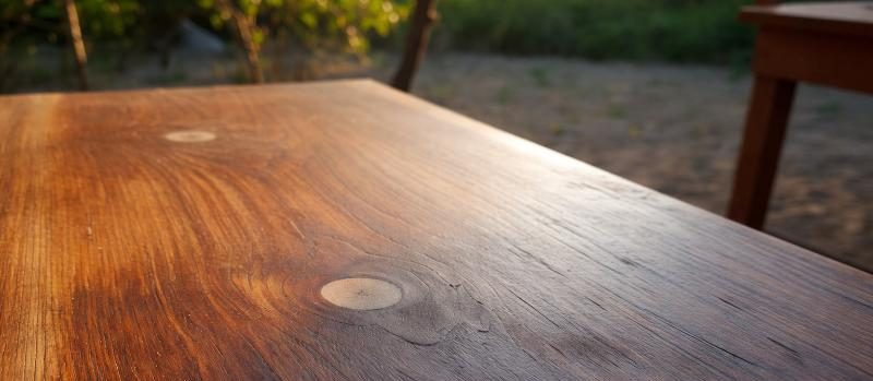 שמן דק מגוון: תפקיד הפיגמנט בהגנה על העץ מפני קרינת השמש שמן דק מגוון תפקיד הפיגמנט בהגנה על העץ מפני קרינת השמש 1 e1769270122172 - שמן דק מגוון: תפקיד הפיגמנט בהגנה על העץ מפני קרינת השמש